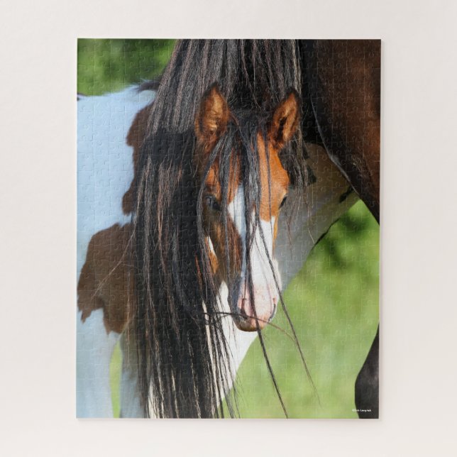 Puzzle Irish Sport Horse Foin se cachant sous la queue (Vertical)