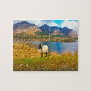 Puzzle Irish Wooly Sheep Galway Irlande.