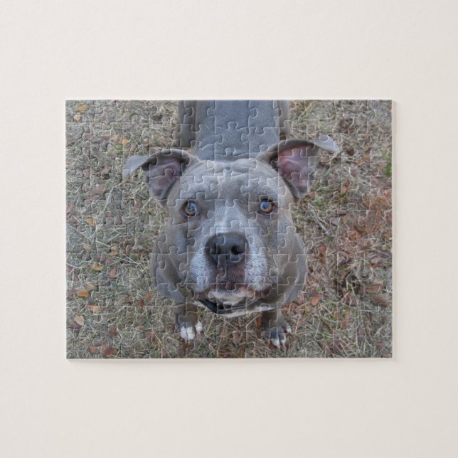 Puzzle irrésistible de Pitbull (Horizontal)
