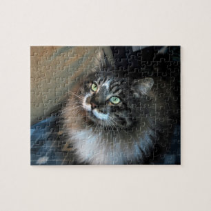 Puzzle irrésistible de Zorro de chat