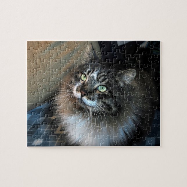 Puzzle irrésistible de Zorro de chat (Horizontal)