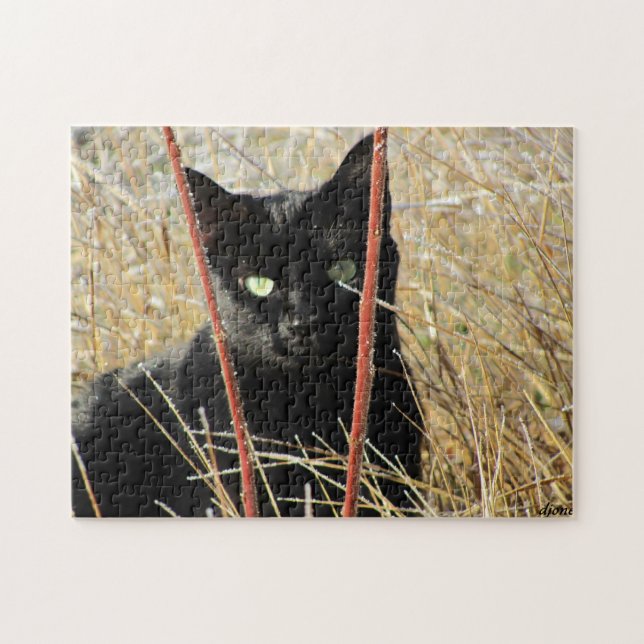 Puzzle Ive encadré ou ajoutent votre propre photo (Horizontal)