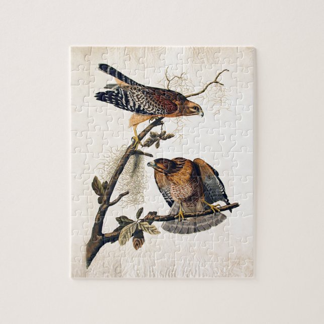 Puzzle J.J. Audubon (faucon épaulé rouge) (1829) (Vertical)