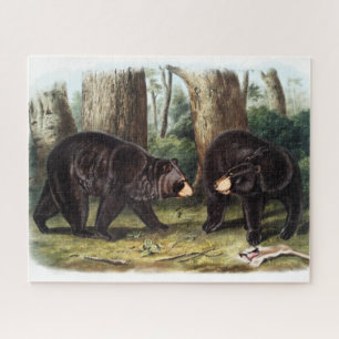 Puzzle J.W. Audubon - Ursus Americanus (Ours Noir)