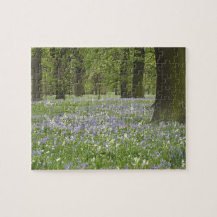 Puzzle Jacinthes des bois et chênes au printemps, Little 