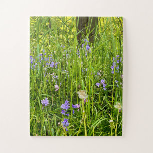 Puzzle Jacinthes et pissenlits dans l'herbe sauvage du pr