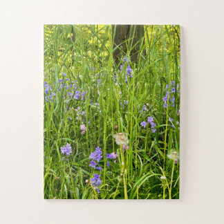 Puzzle Jacinthes et pissenlits dans l'herbe sauvage du pr