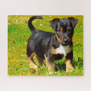 Puzzle Jack Russell Chien.