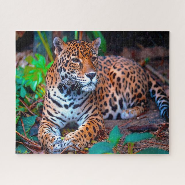 Puzzle Jaguar Big Cats. (Horizontal)