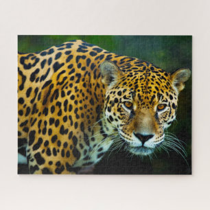 Puzzle Jaguar Big Cats.