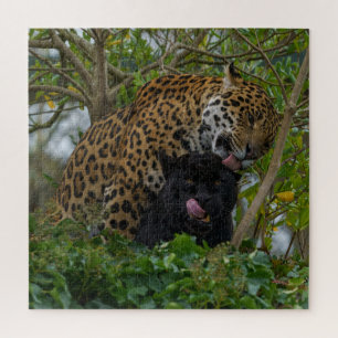 Puzzle Jaguars In Love