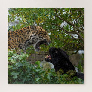 Puzzle Jaguars In Love