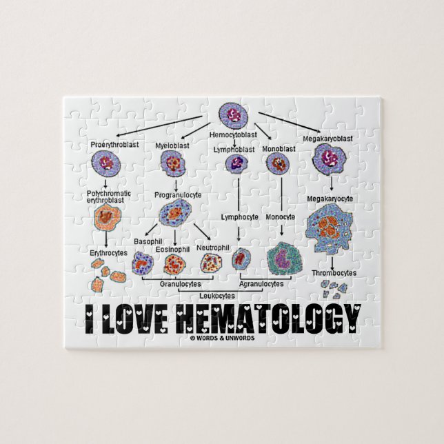 Puzzle J'Aime L'Hématologie (Linéage De La Cellule Sangui (Horizontal)