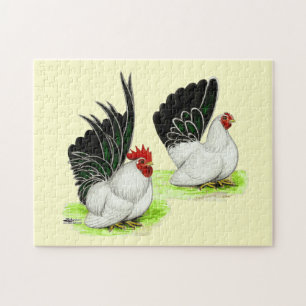 Puzzle Japanese Black White Bantams