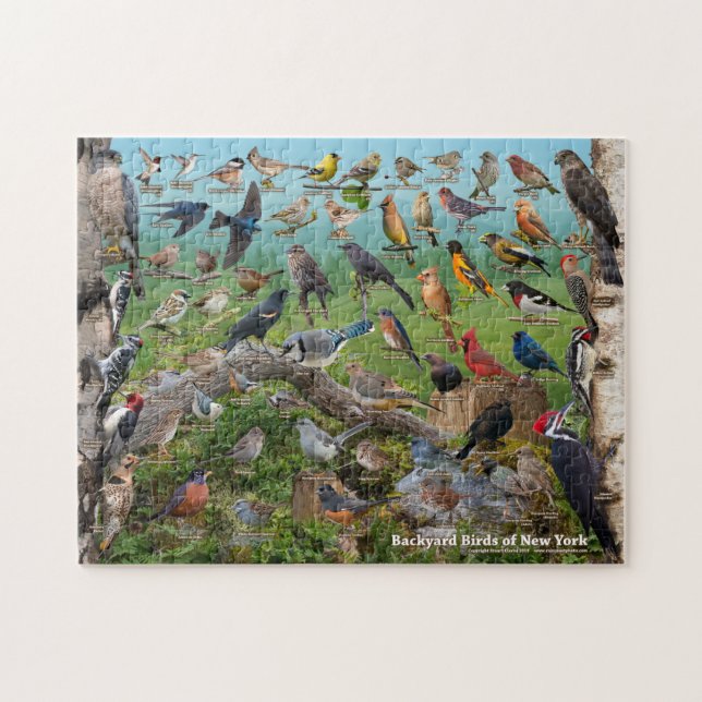Puzzle Jardin Birds de New York (Horizontal)