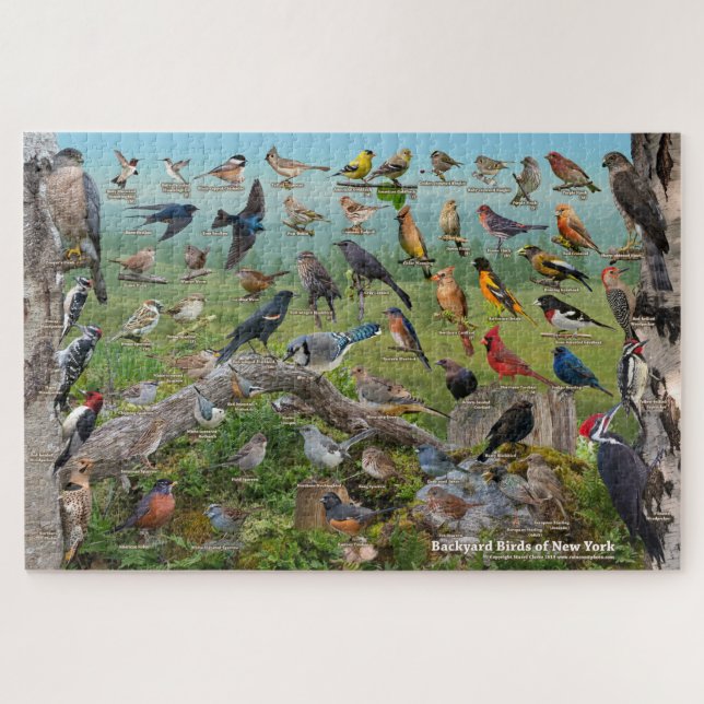 Puzzle Jardin Birds de New York (Horizontal)