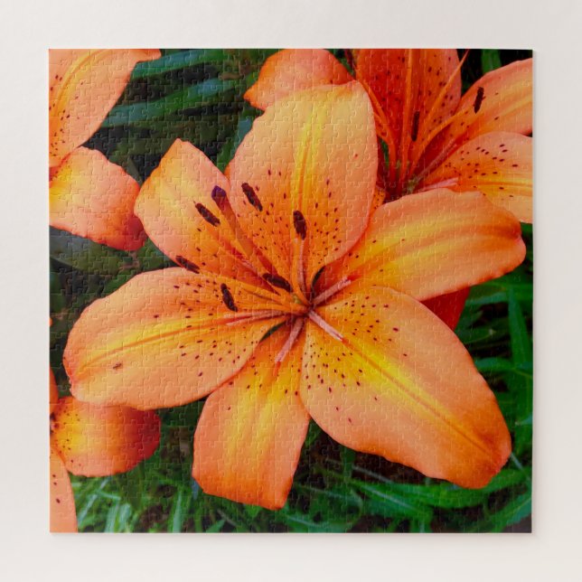 Puzzle Jardin botanique Orange Tiger Lily (Vertical)