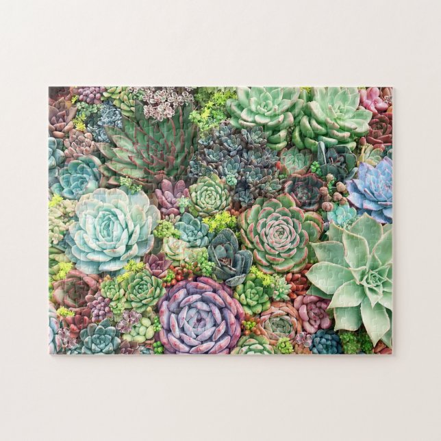 Puzzle Jardin coloré Succulent (Horizontal)