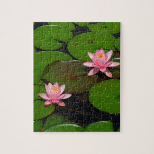 Puzzle Jardin d'agrément rose de nénuphar de lotus,