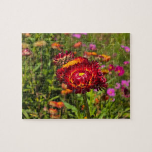 Puzzle Jardin de fleurs