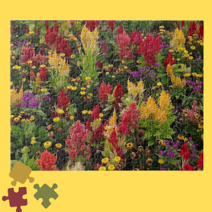 Puzzle Jardin de fleurs d'été animé à Orlando en Floride