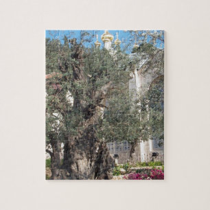Puzzle Jardin de Gethsemane