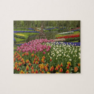 Puzzle Jardin de Tulip et d'Hyacinth, jardins de Keukenho