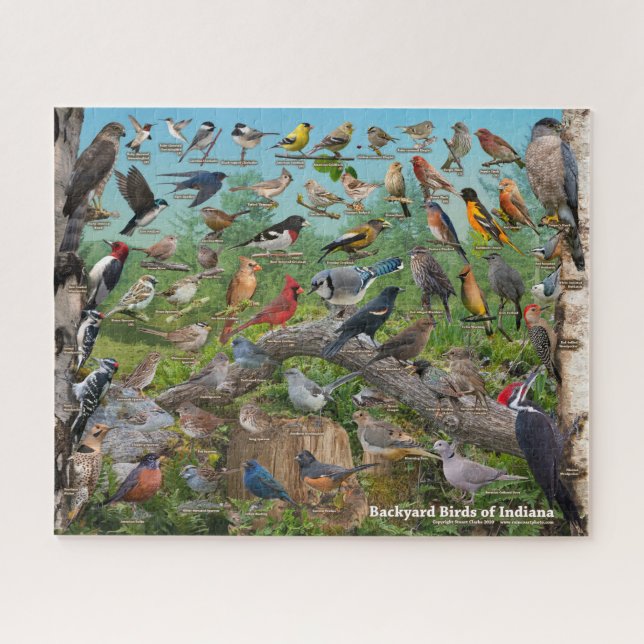 Puzzle Jardin des oiseaux de l'Indiana (Horizontal)
