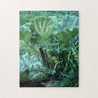 Puzzle Jardin d'île