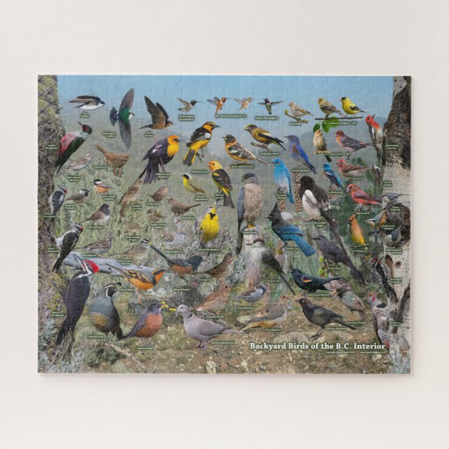 Puzzle Jardin Oiseaux de l'intérieur de la Colombie-Brita (Horizontal)