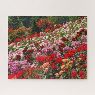 Puzzle Jardin rose coloré