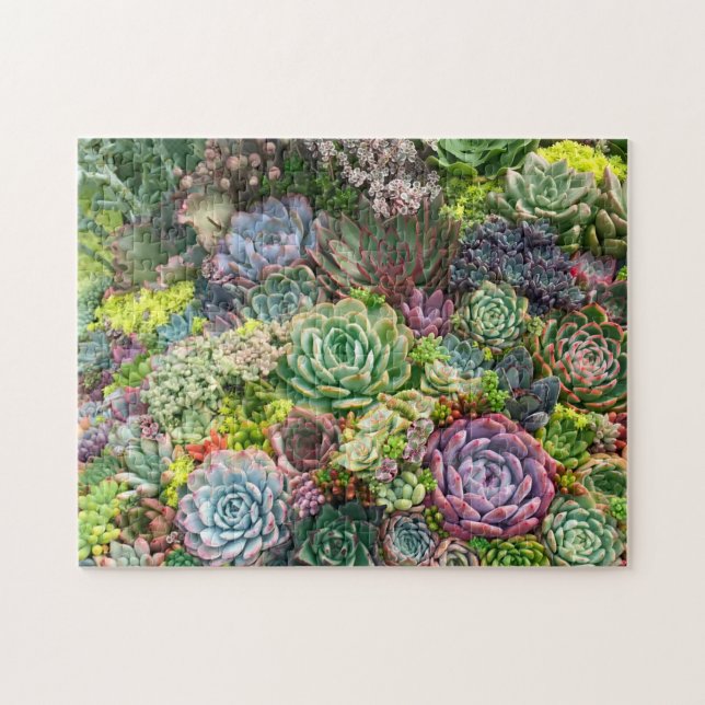 Puzzle Jardin Succulent Vibrant (Horizontal)