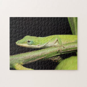 Puzzle Jardin vert mignon Anole Lizard Nature Faune
