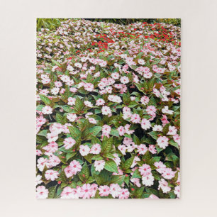 Puzzle Jardins botaniques fleurs roses NSW