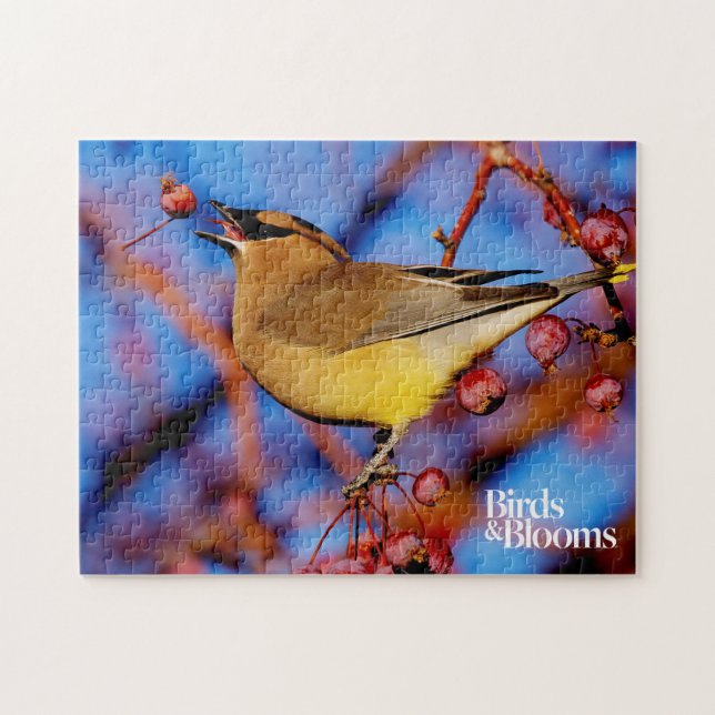 Puzzle Jaseur de cèdre (Horizontal)