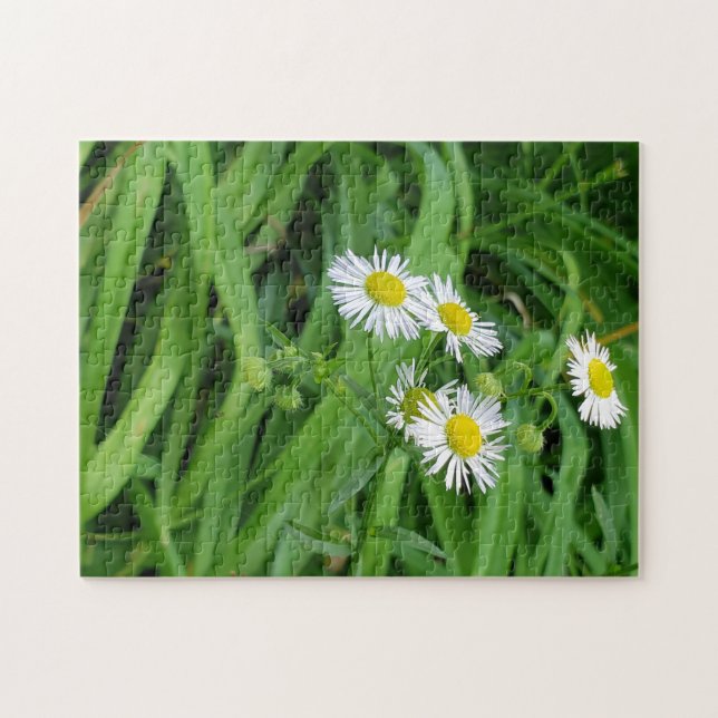 Puzzle jaune blanc fleur marguerite (Horizontal)