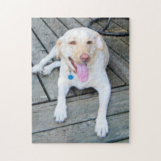 Puzzle jaune de Labrador