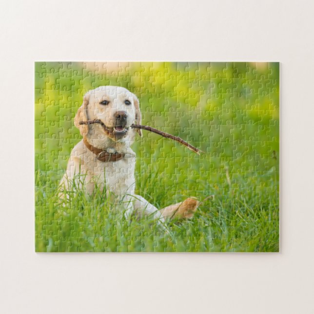 Puzzle Jaune Labrador Joue Récupérer Avec Bâton (Horizontal)