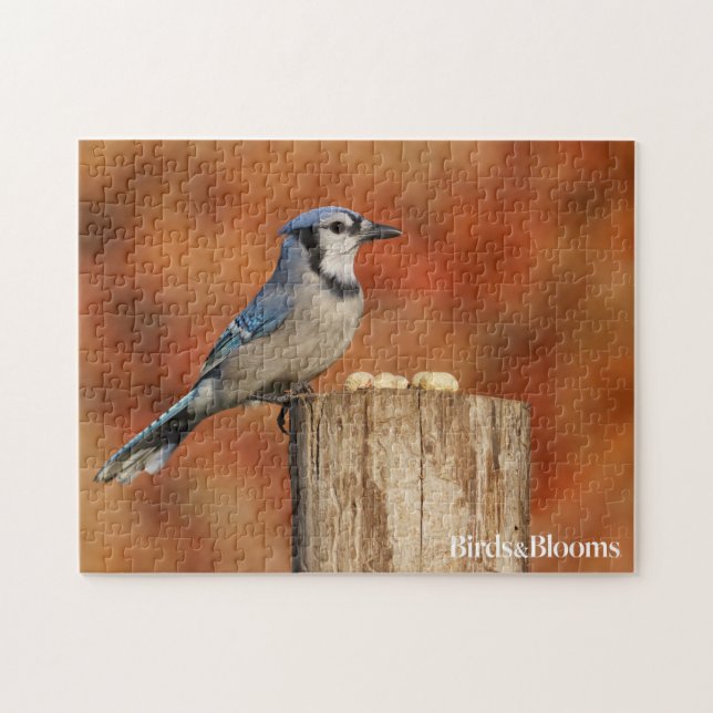 Puzzle Jay Bleu (Horizontal)