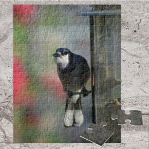 Puzzle Jay bleu perché sur le chargeur Photographie Oisea
