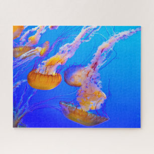 Puzzle Jelly Fish