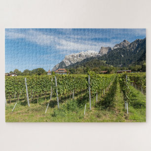 Puzzle Jenins Graubünden Suisse Vignobles dans le Rhi