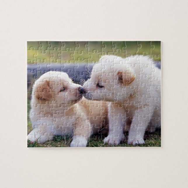 Puzzle Jeu de chiot (Horizontal)