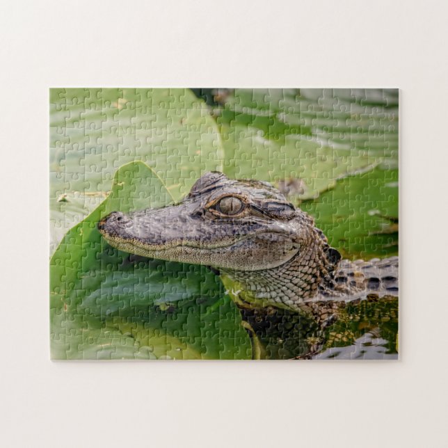 Puzzle Jeune Alligator (Horizontal)
