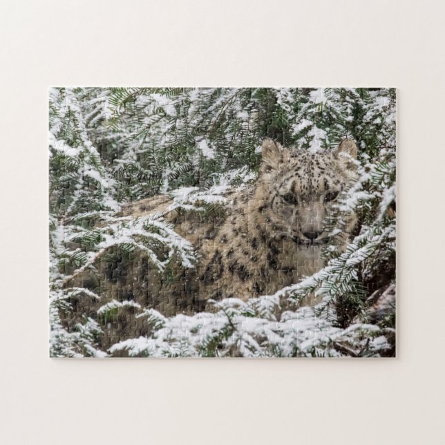 Puzzle Jeune léopard de neige (Horizontal)