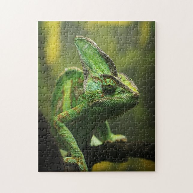 Puzzle Jigsaw caméléon à voile (Vertical)