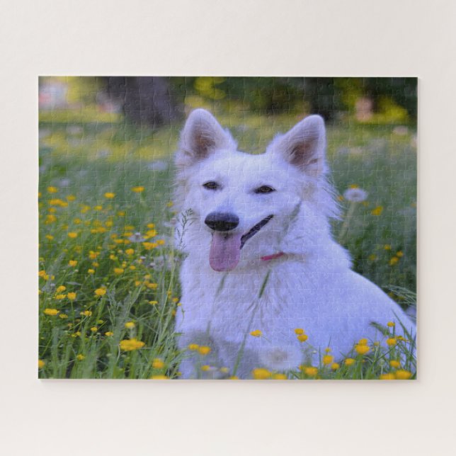 Puzzle Jigsaws Chien Chien Blanc Suisse. (Horizontal)