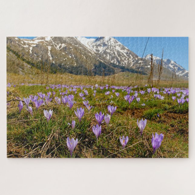 Puzzle Jigsaws Crocus Abruzzo Gran Sasso Italie. (Horizontal)