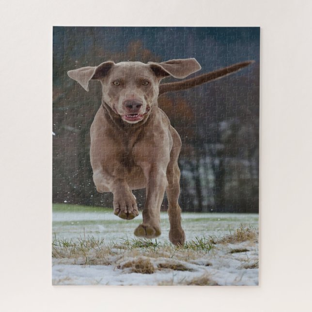 Puzzle Jigsaws de Chien Weimaraner. (Vertical)