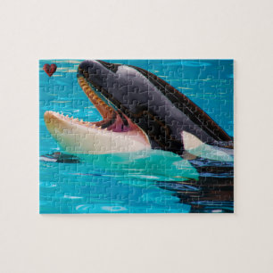 Puzzle Jigsaws Orques ou baleines tueuses